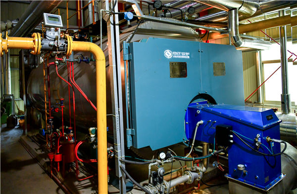 蒸汽链条炉都有几吨的